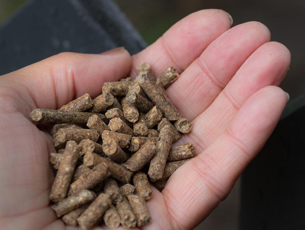 Measuring Fat in Animal Feed using the MQC+