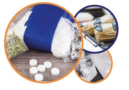 Testing for Robusta in Arabica coffee in minutes using Pulsar